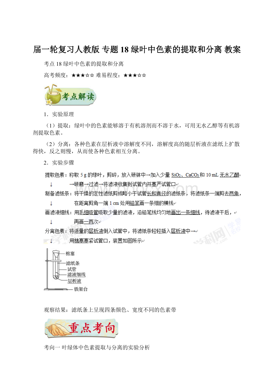 届一轮复习人教版 专题18 绿叶中色素的提取和分离 教案Word文档下载推荐.docx