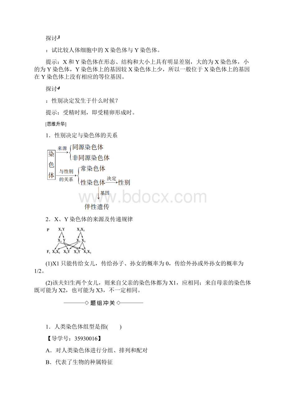 浙科版必修2 第2章 第3节 性染色体与伴性遗传 学案.docx_第3页