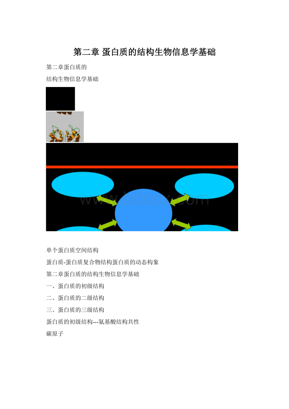 第二章蛋白质的结构生物信息学基础.docx_第1页