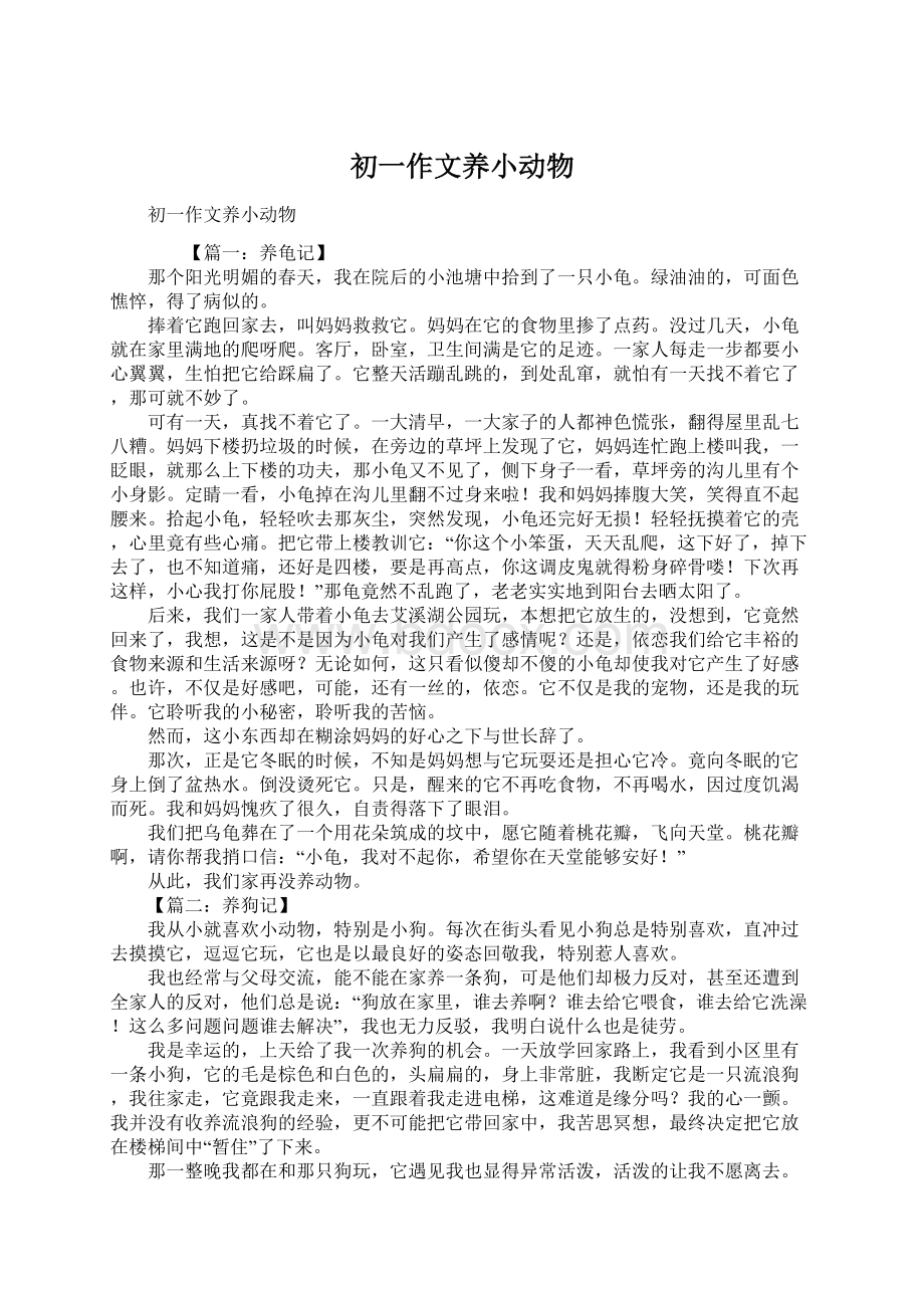 初一作文养小动物Word格式文档下载.docx_第1页