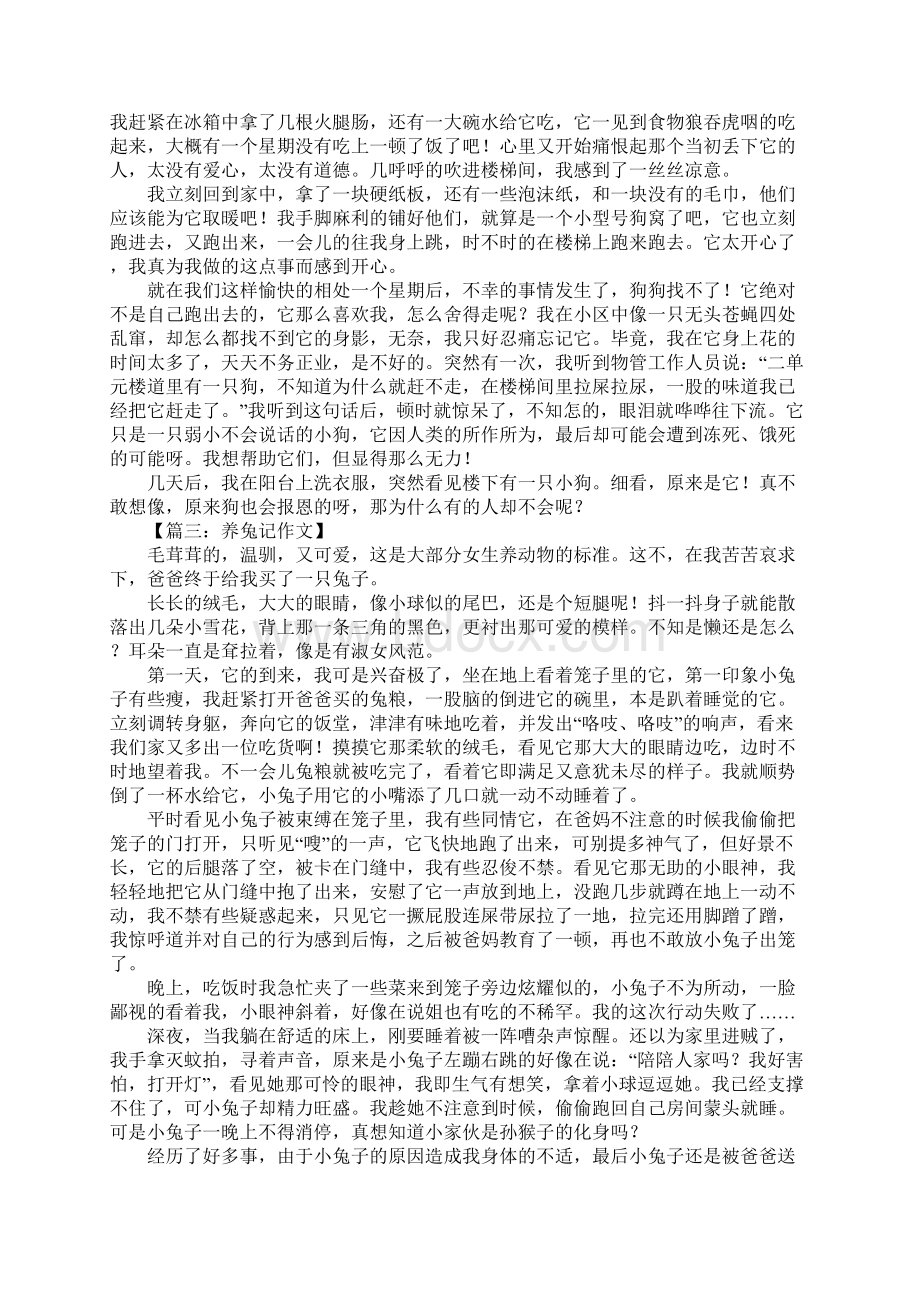 初一作文养小动物Word格式文档下载.docx_第2页