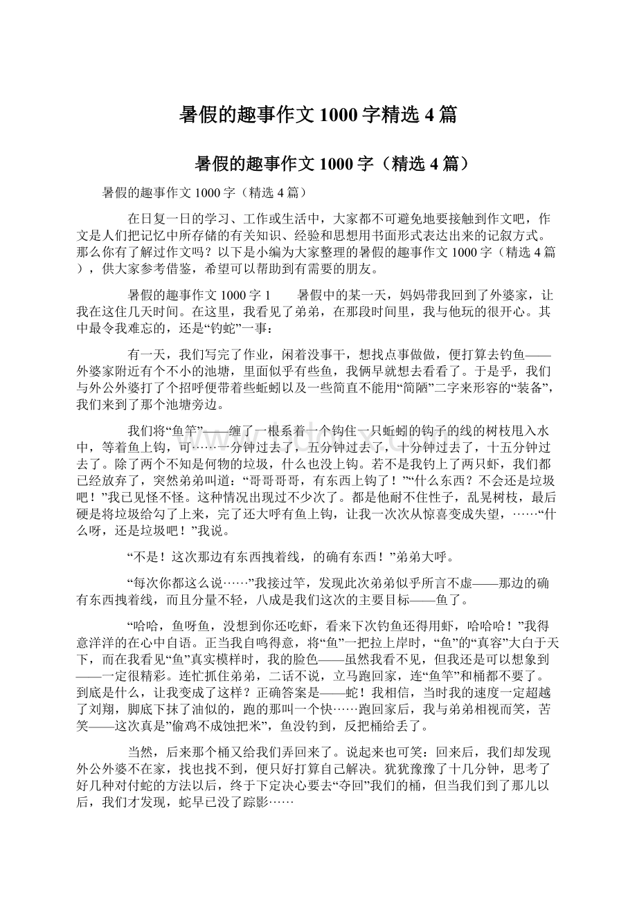 暑假的趣事作文1000字精选4篇.docx