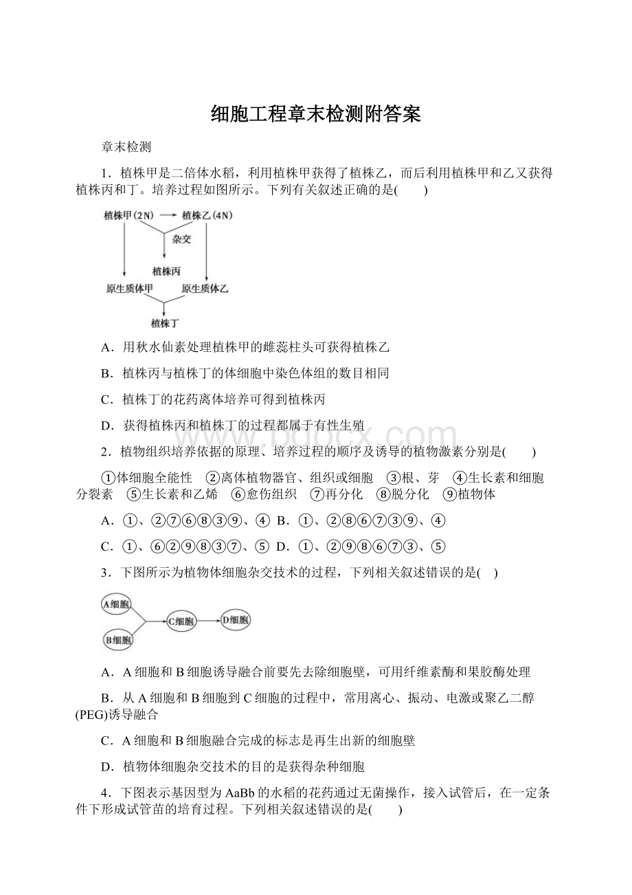 细胞工程章末检测附答案Word格式.docx_第1页