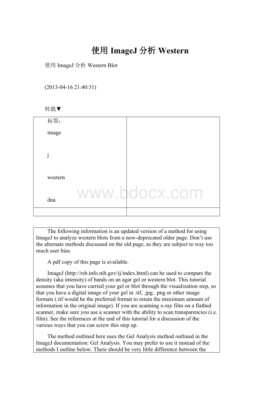 使用ImageJ分析Western.docx_第1页