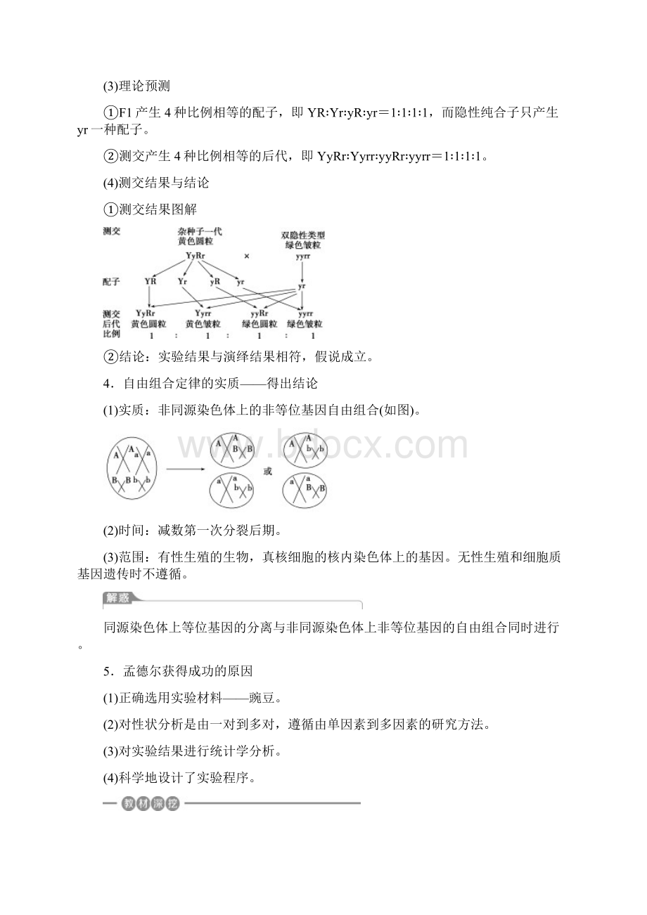 届高考生物一轮复习 第五单元第18讲基因的自由组合定律Word格式.docx_第2页