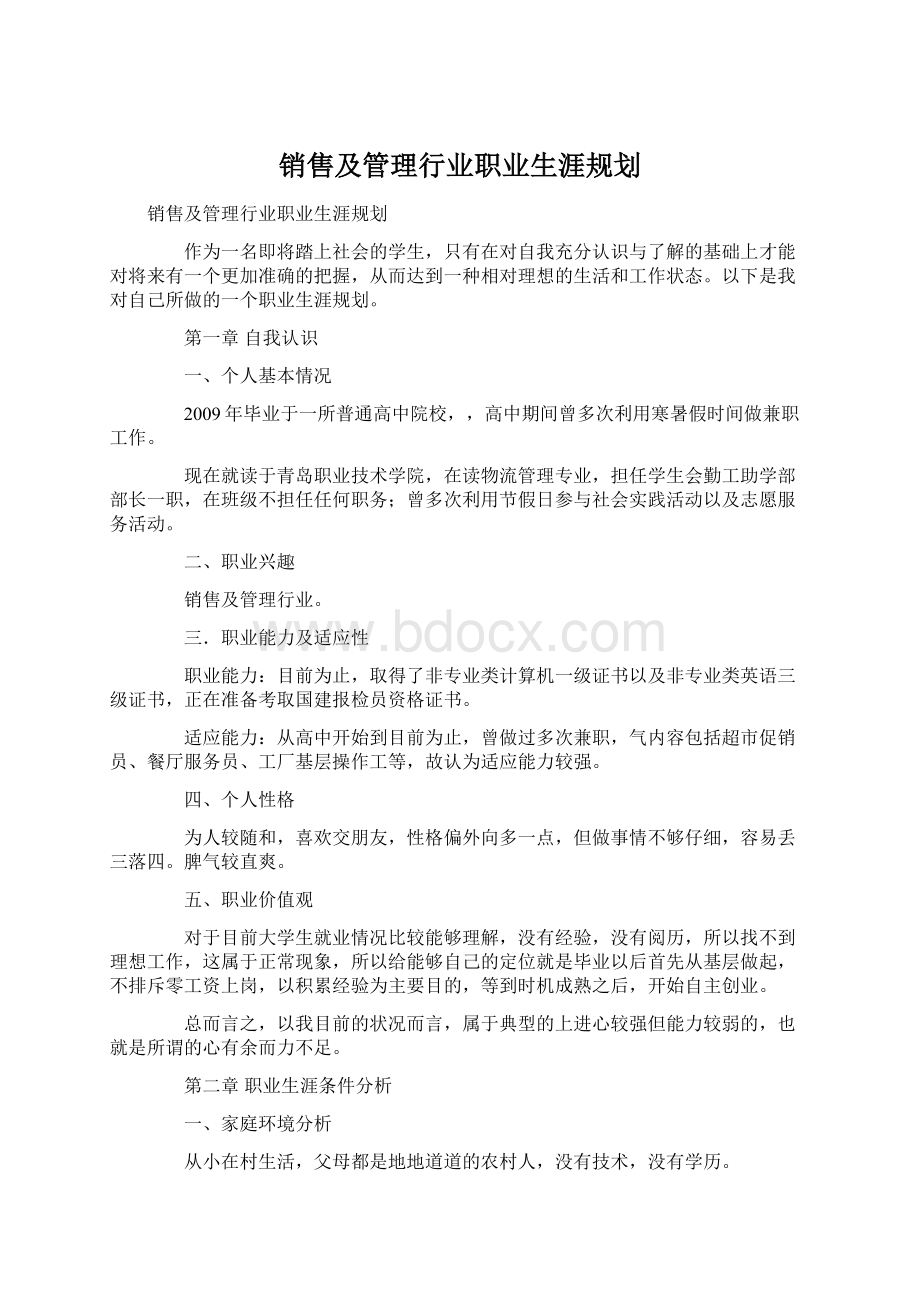 销售及管理行业职业生涯规划.docx_第1页