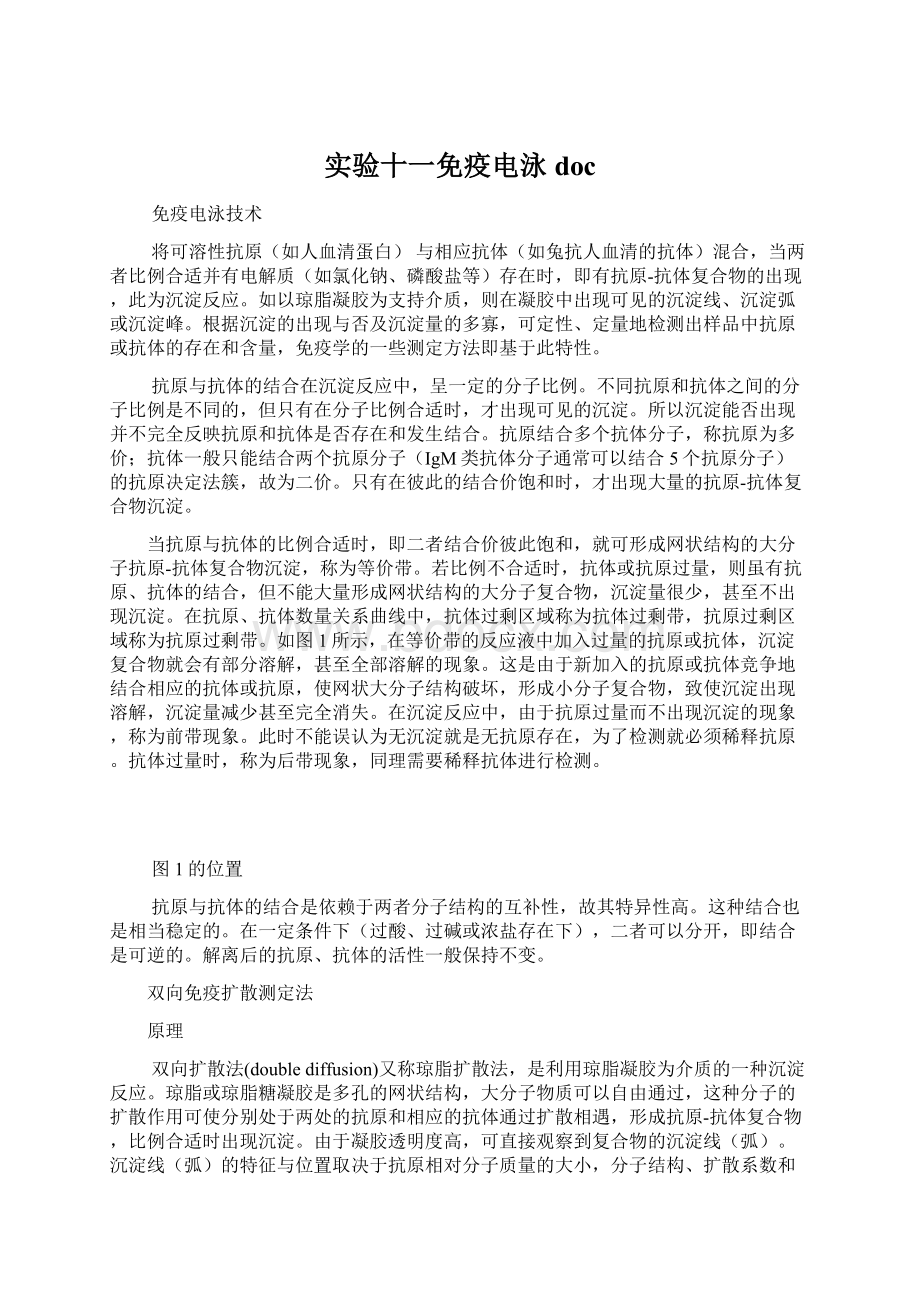 实验十一免疫电泳docWord文件下载.docx