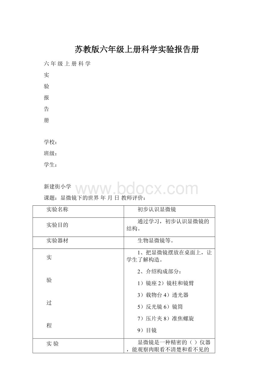 苏教版六年级上册科学实验报告册Word文件下载.docx