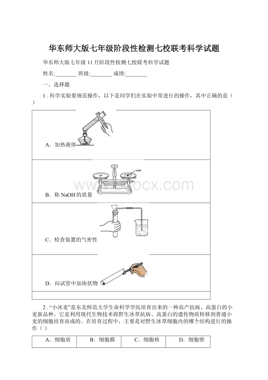 华东师大版七年级阶段性检测七校联考科学试题Word文件下载.docx