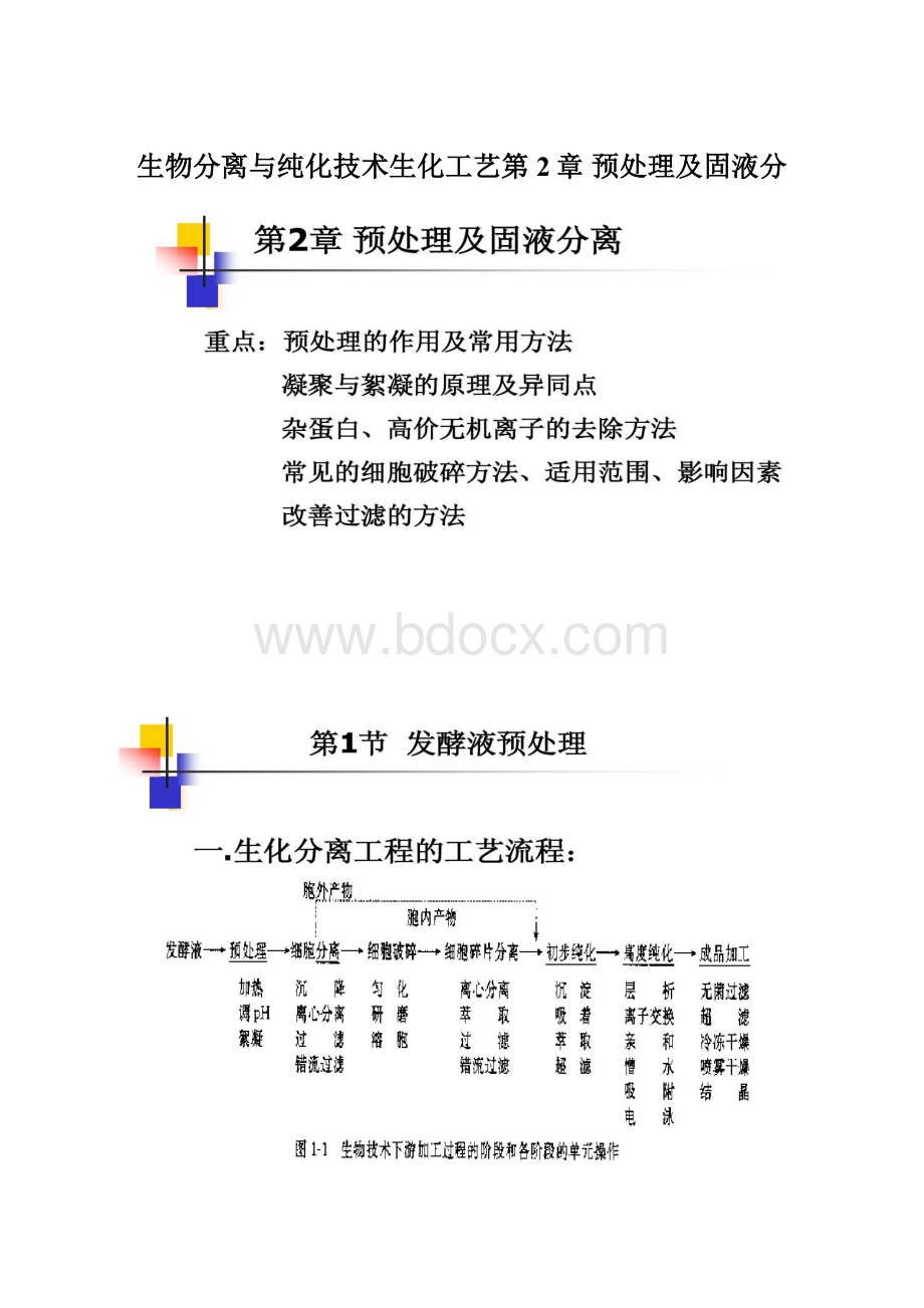 生物分离与纯化技术生化工艺第2章 预处理及固液分.docx_第1页