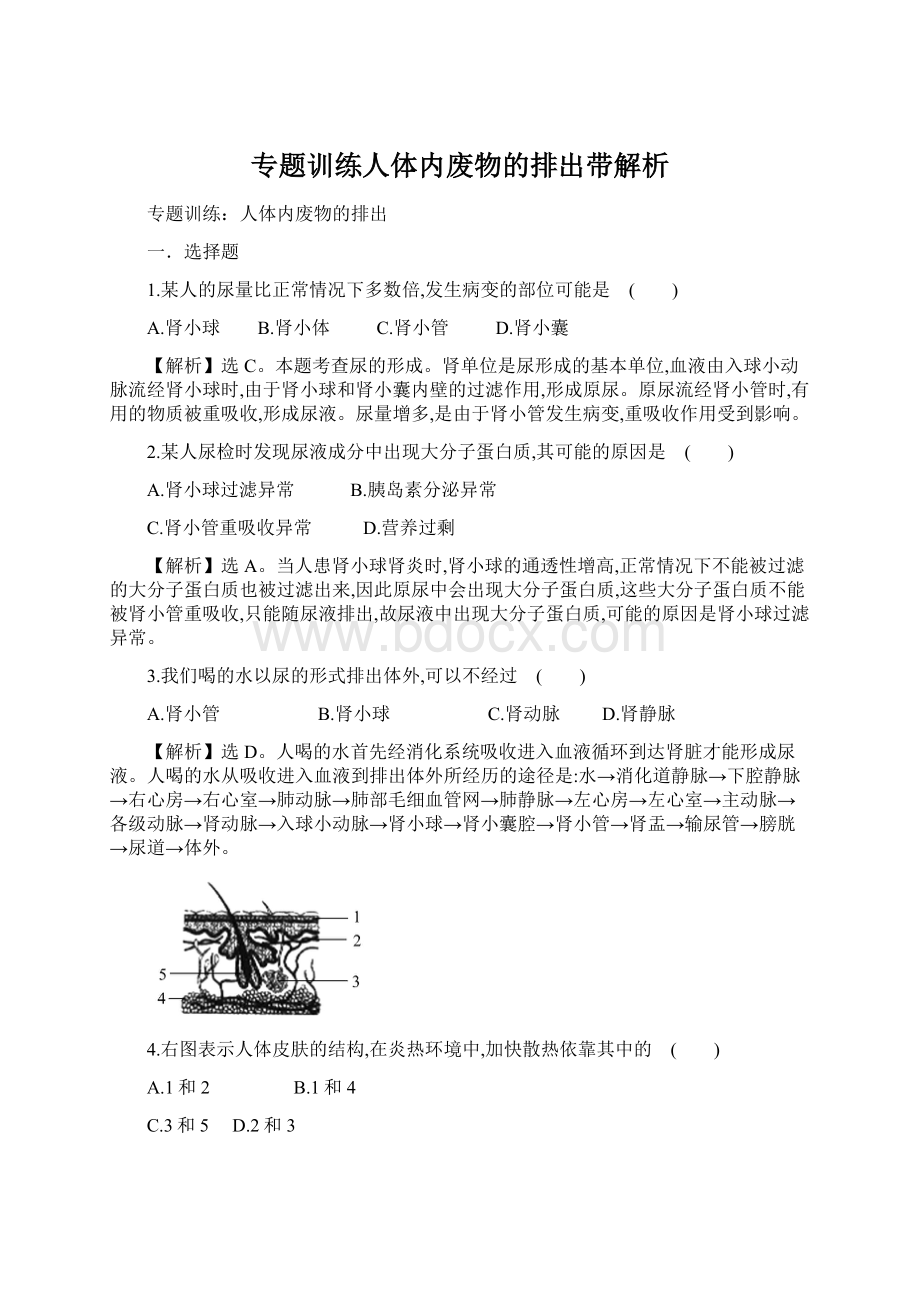 专题训练人体内废物的排出带解析Word文档下载推荐.docx