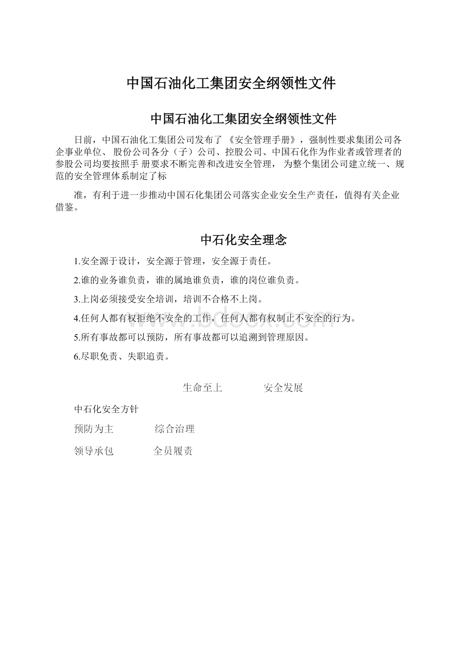 中国石油化工集团安全纲领性文件文档格式.docx