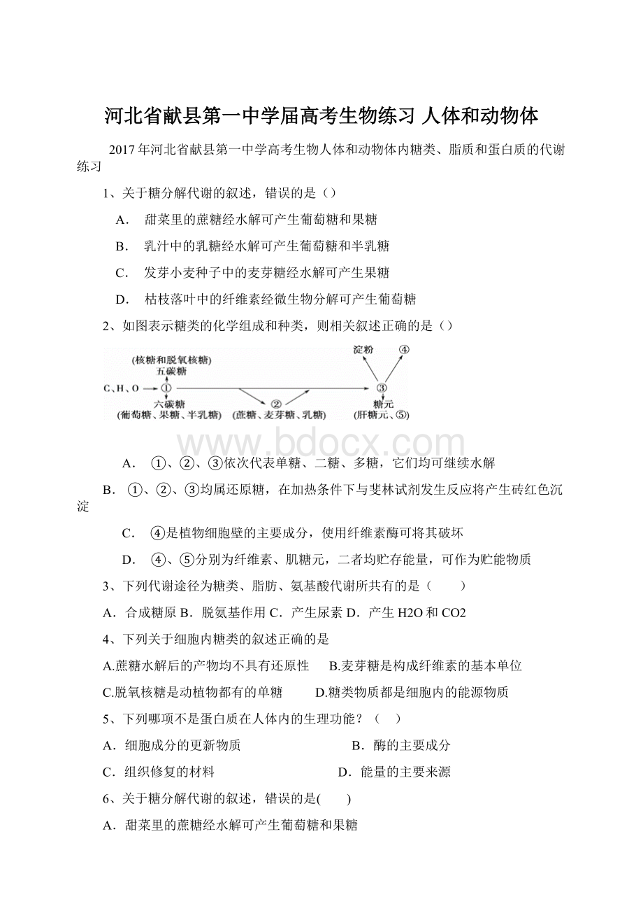 河北省献县第一中学届高考生物练习 人体和动物体Word文档下载推荐.docx_第1页