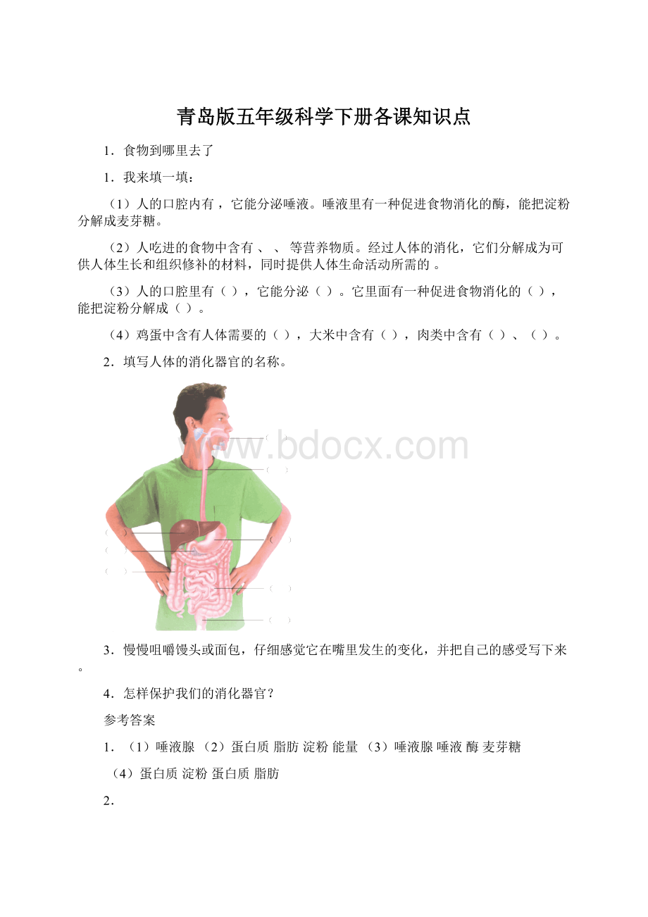 青岛版五年级科学下册各课知识点.docx_第1页