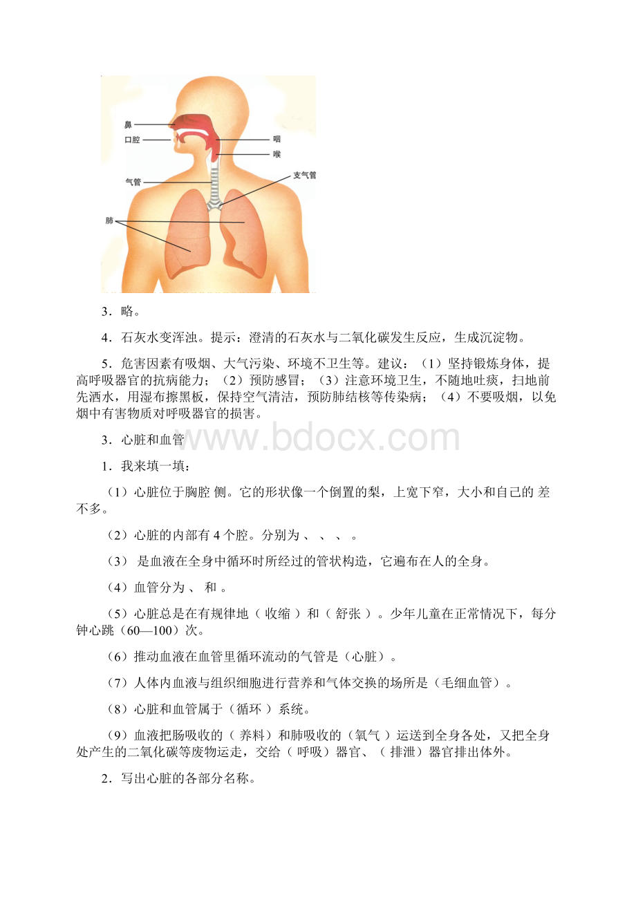 青岛版五年级科学下册各课知识点Word下载.docx_第3页