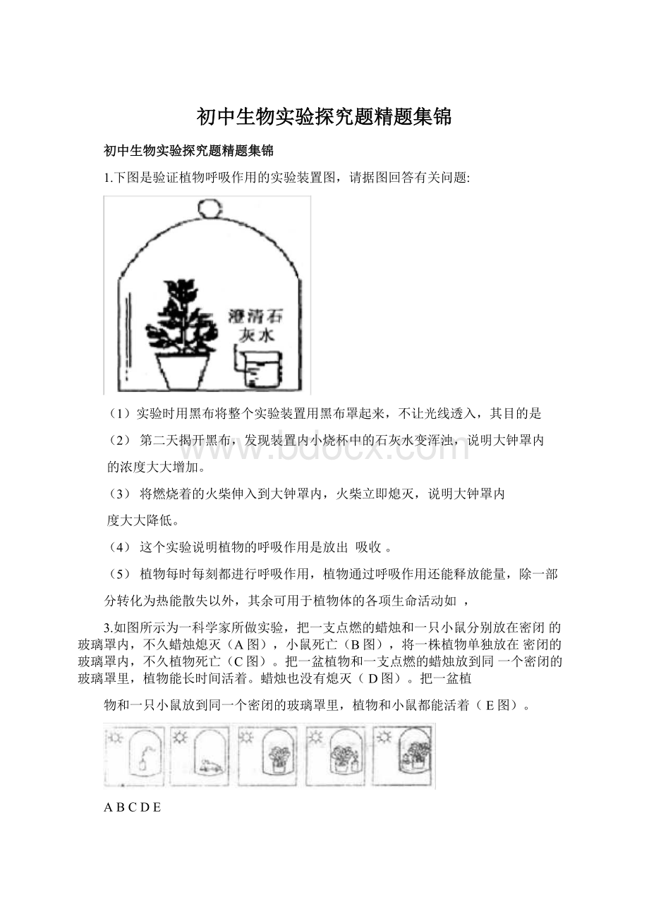 初中生物实验探究题精题集锦.docx_第1页