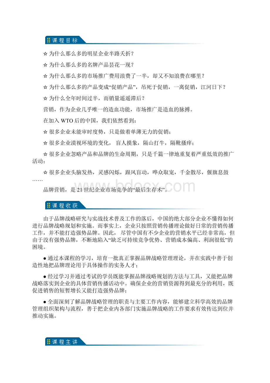 3098 精准制导的品牌战略及引爆策略品牌5大病症及8大突破.docx_第2页