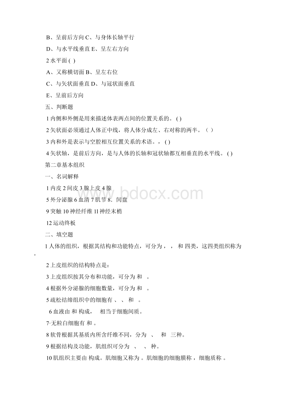 解剖学基础练习题Word文档下载推荐.docx_第2页