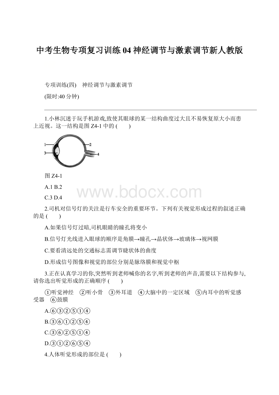 中考生物专项复习训练04神经调节与激素调节新人教版.docx