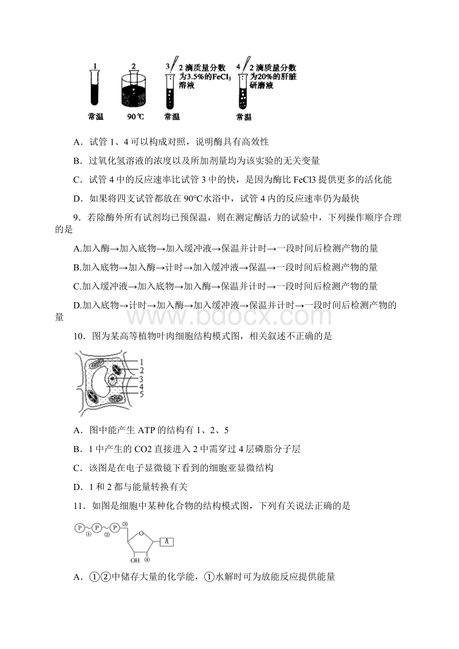 江西省南昌二中学年高一下学期第一次月考生物试题.docx_第3页