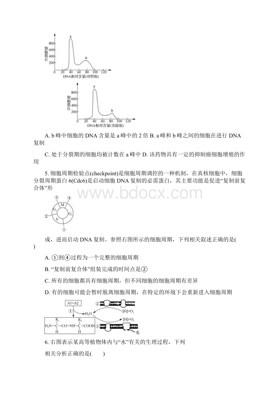 江苏省常州市届高三上学期期末考试生物试题Word版含答案.docx_第2页