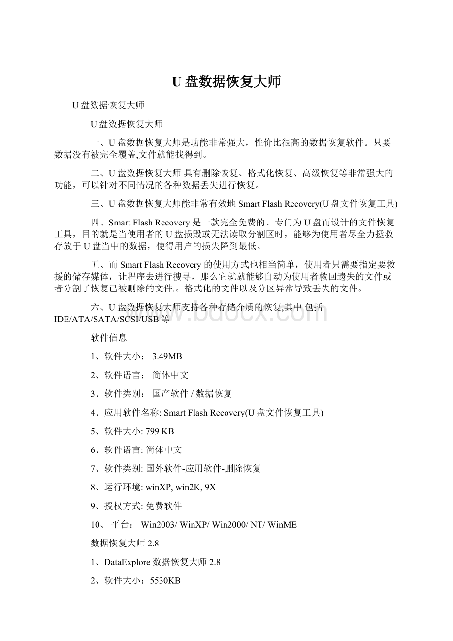 U盘数据恢复大师Word文档格式.docx_第1页