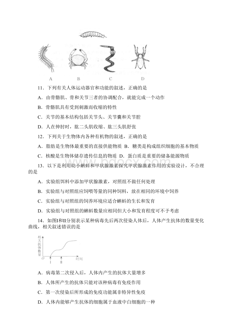 七年级下学期期末考试Word文档格式.docx_第3页