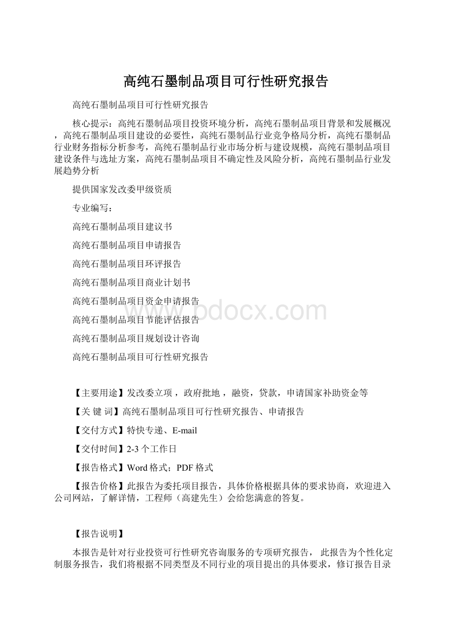 高纯石墨制品项目可行性研究报告.docx_第1页