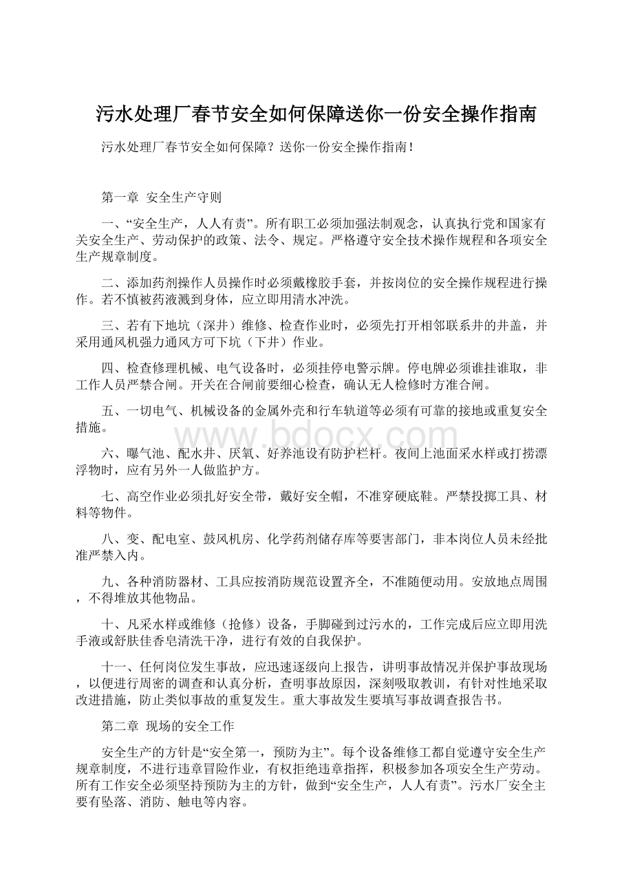 污水处理厂春节安全如何保障送你一份安全操作指南文档格式.docx