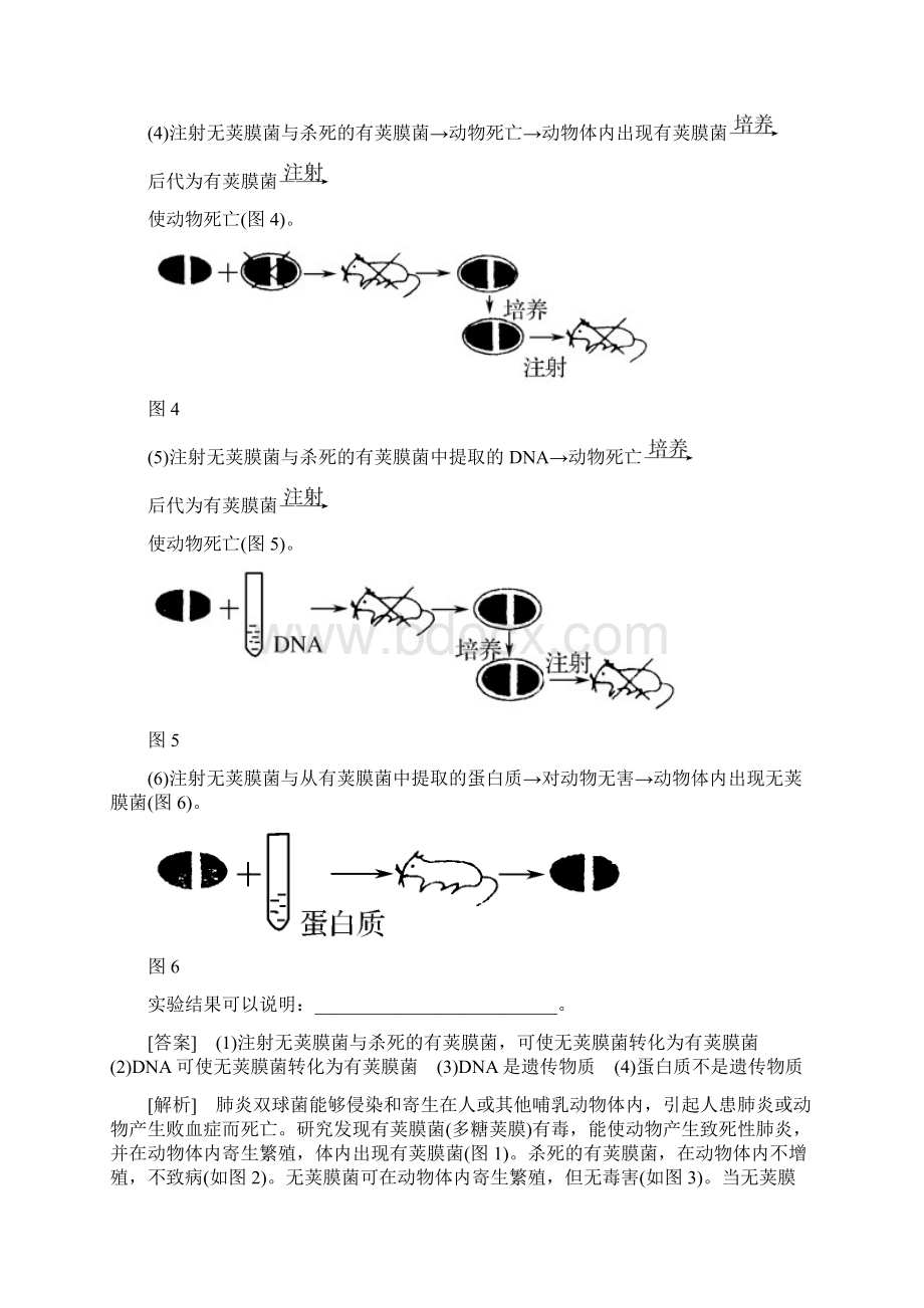 最新高中生物高二生物DNA是主要的遗传物质检测题 精.docx_第3页