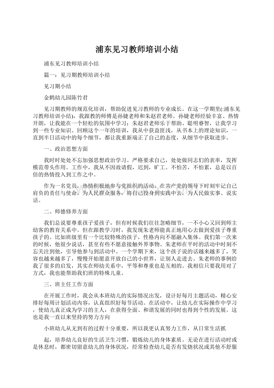 浦东见习教师培训小结Word格式.docx