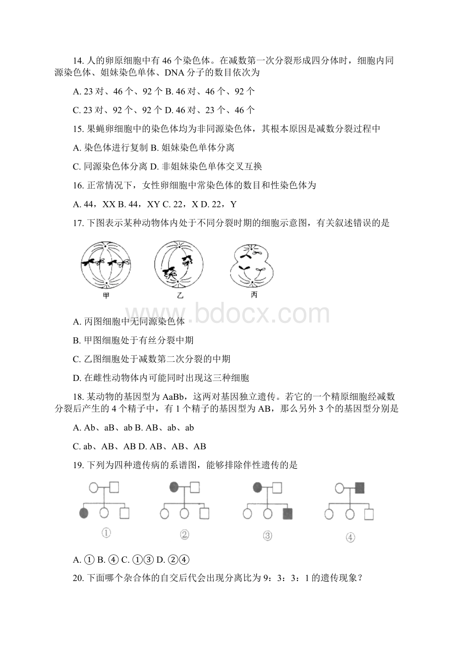 北京四中高一下期中生物.docx_第3页