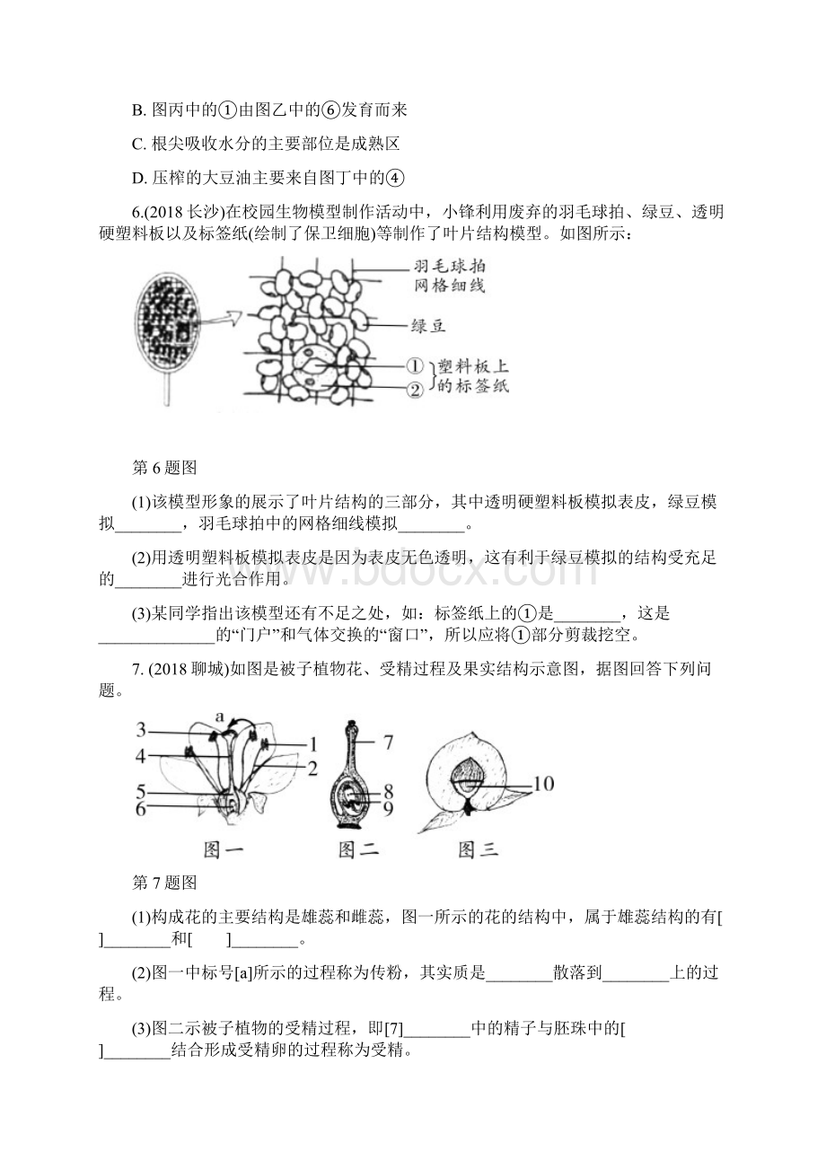 中考生物重点题型突破题型一识图题5生物圈中的绿色开花植物含答案解析.docx_第3页