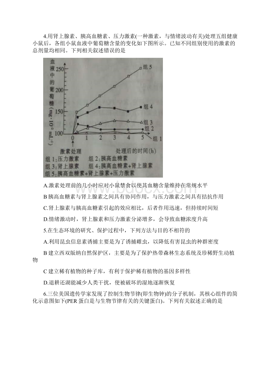 高三联考理科综合试题含答案Word下载.docx_第2页