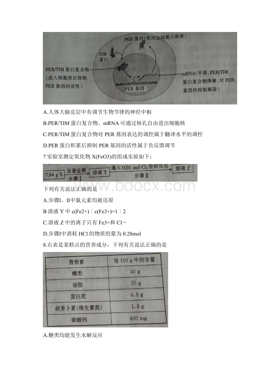 高三联考理科综合试题含答案Word下载.docx_第3页