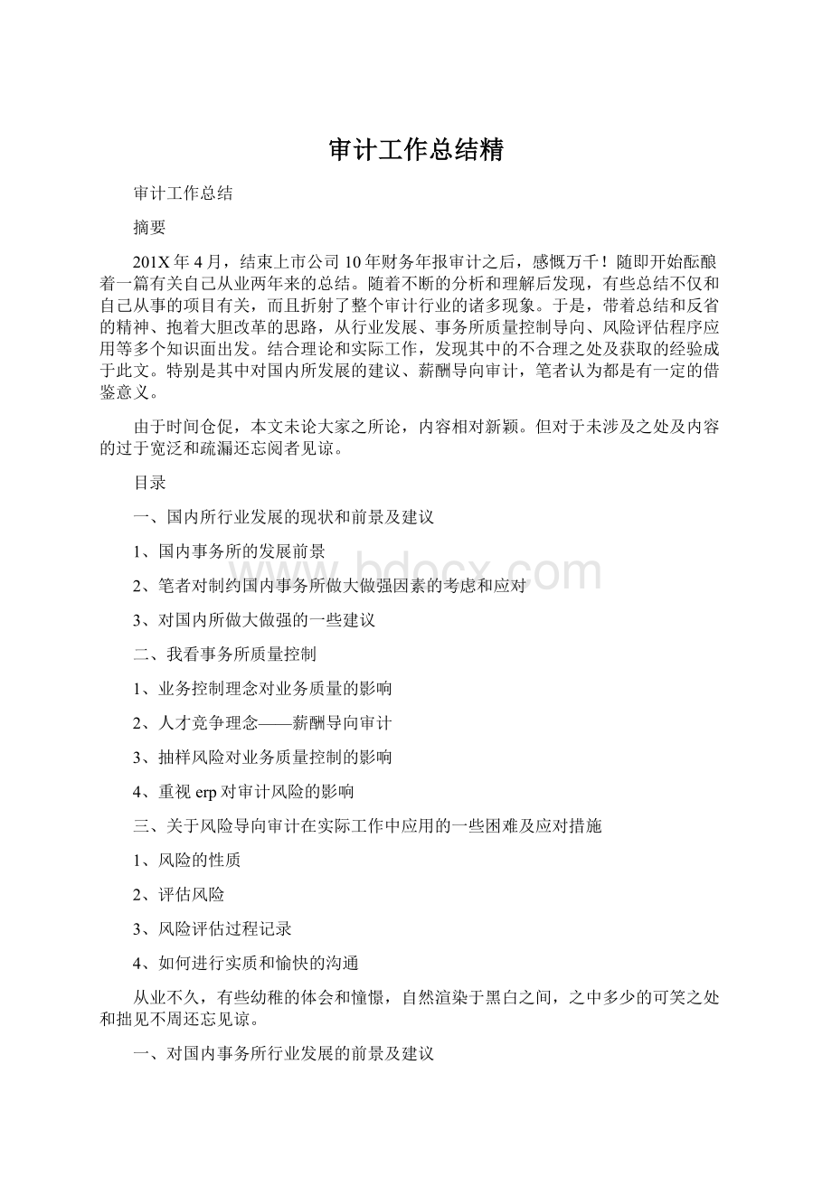 审计工作总结精.docx