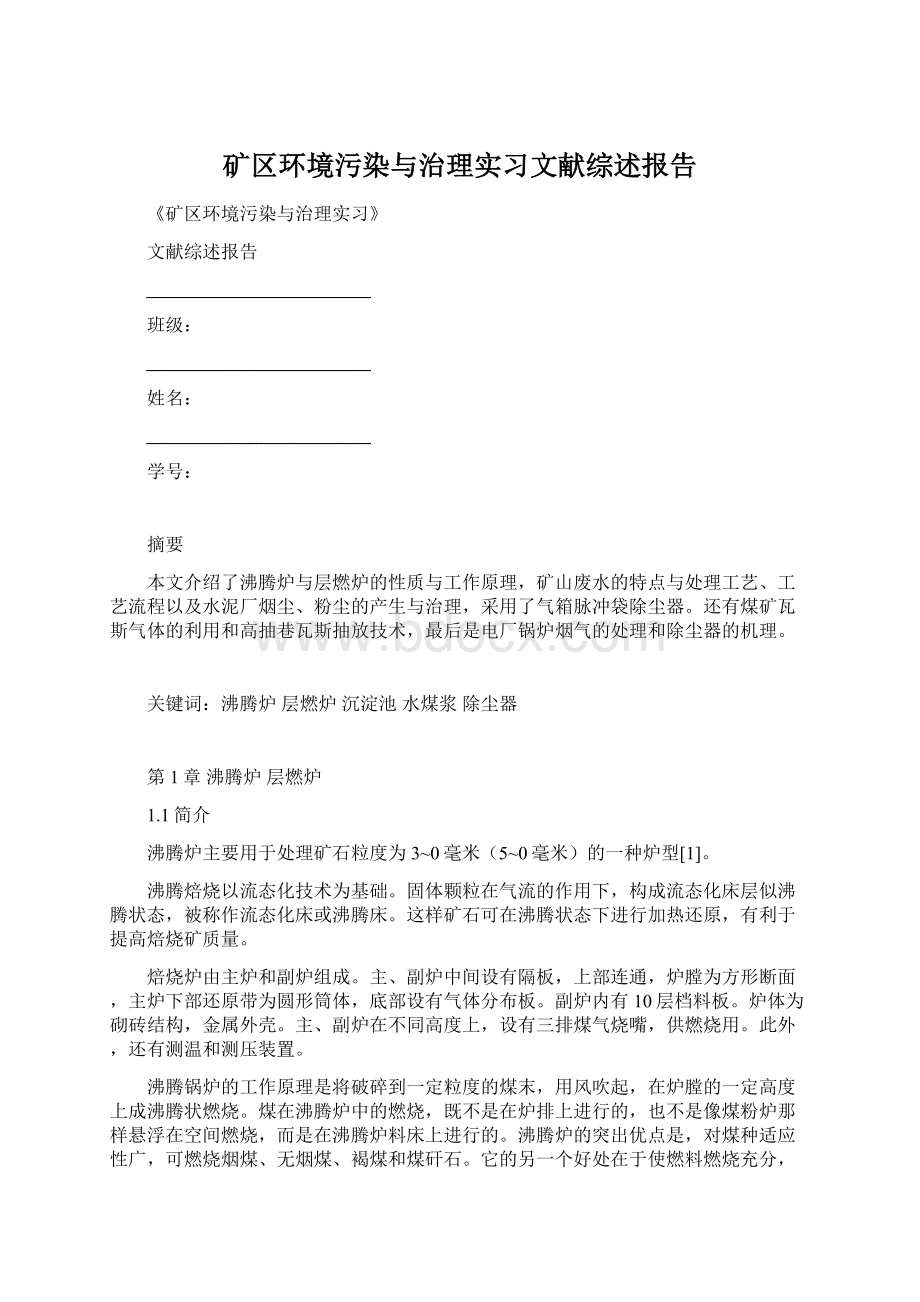 矿区环境污染与治理实习文献综述报告Word文档格式.docx