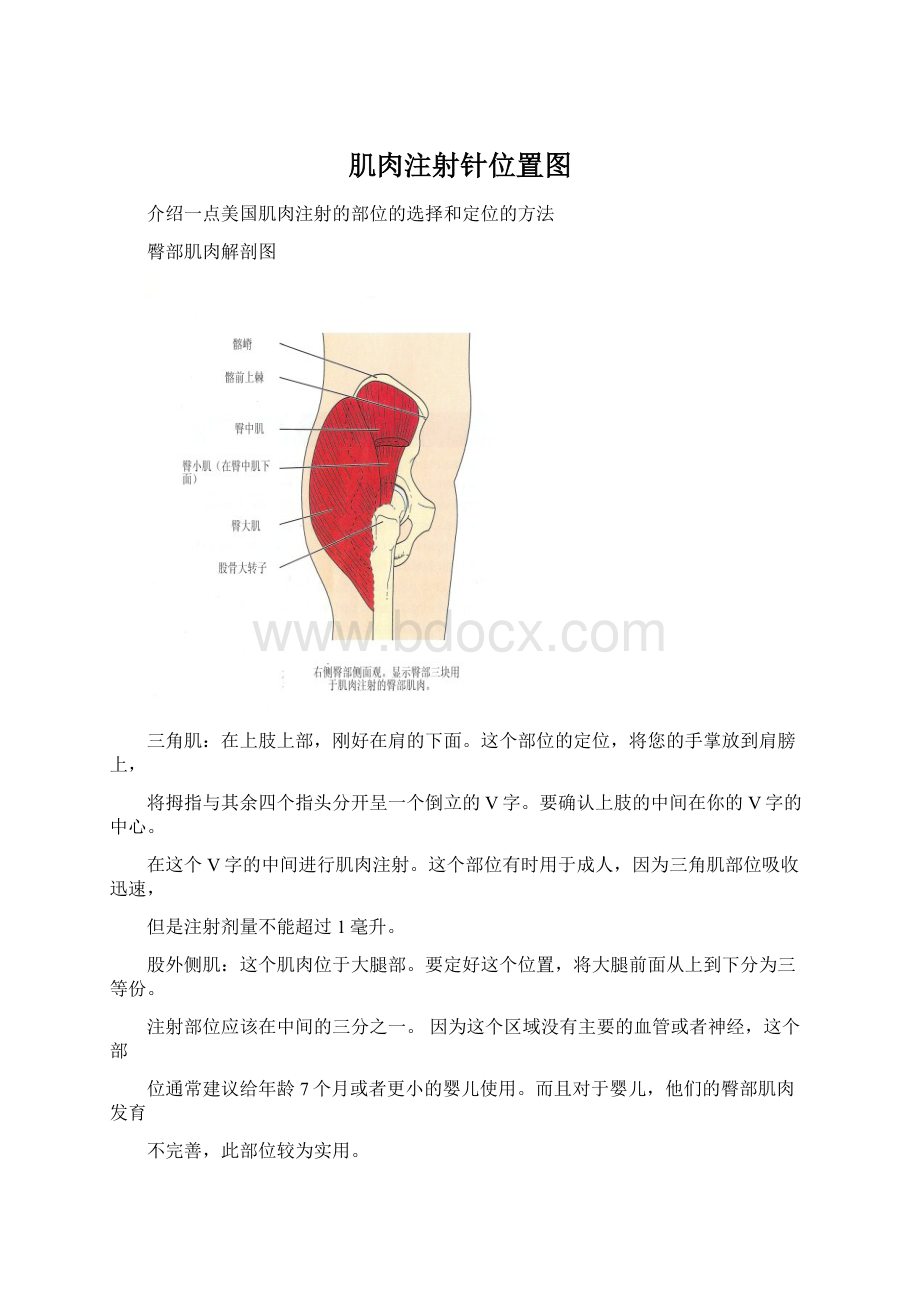 肌肉注射针位置图Word文档格式.docx