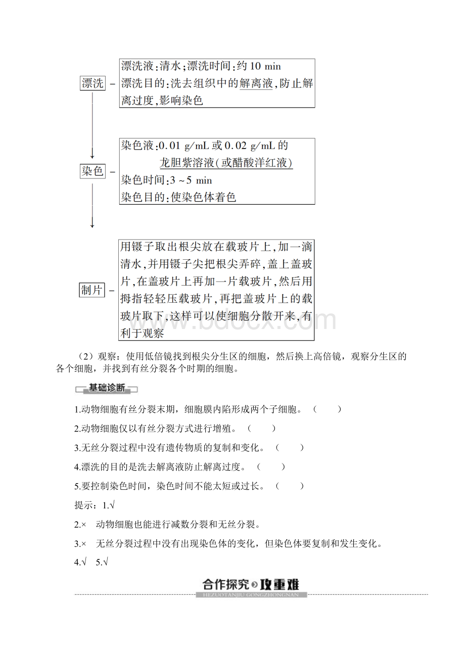 人教版生物必修一讲义动物细胞的有丝分裂无丝分裂及观察根尖分生组织细胞的有丝分裂文档格式.docx_第3页