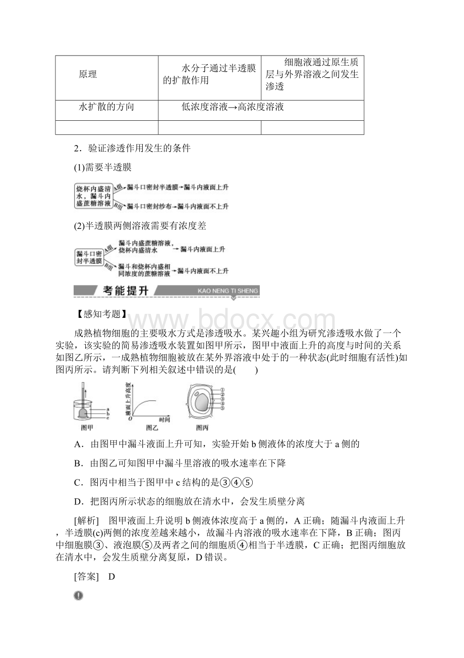 版高考生物复习细胞的结构和物质运输第7讲物质跨膜运输的实例方式学案Word文档下载推荐.docx_第3页