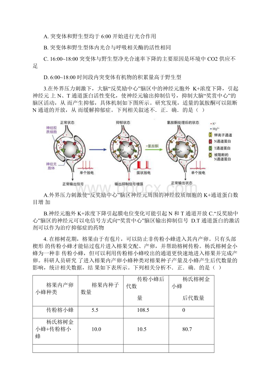 北京市海淀区届高考生物查漏补缺试题及答案Word下载.docx_第2页