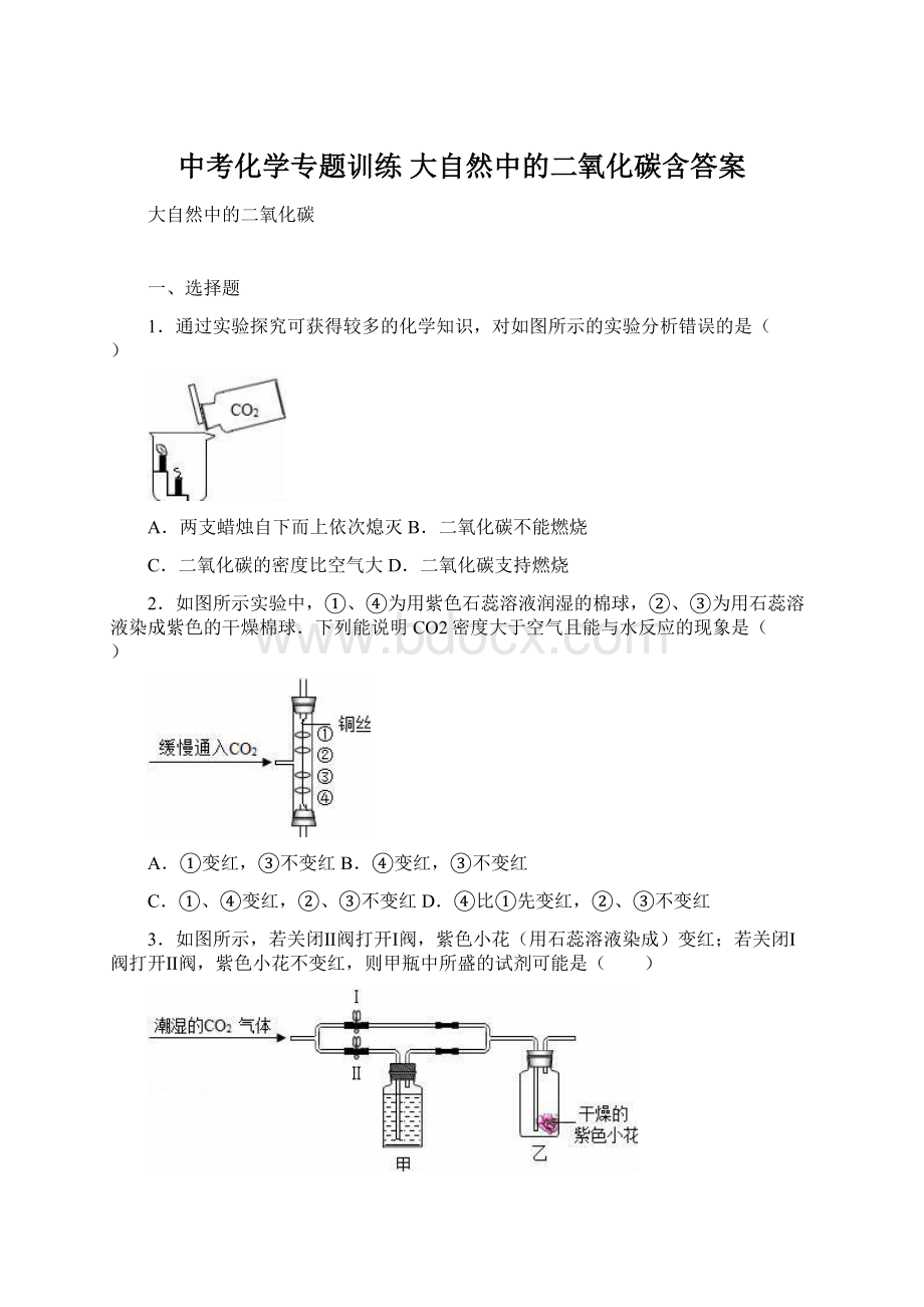 中考化学专题训练 大自然中的二氧化碳含答案Word格式.docx