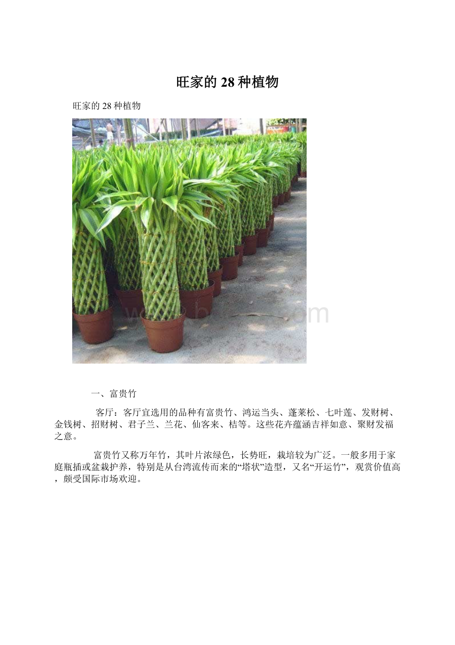 旺家的28种植物Word格式文档下载.docx