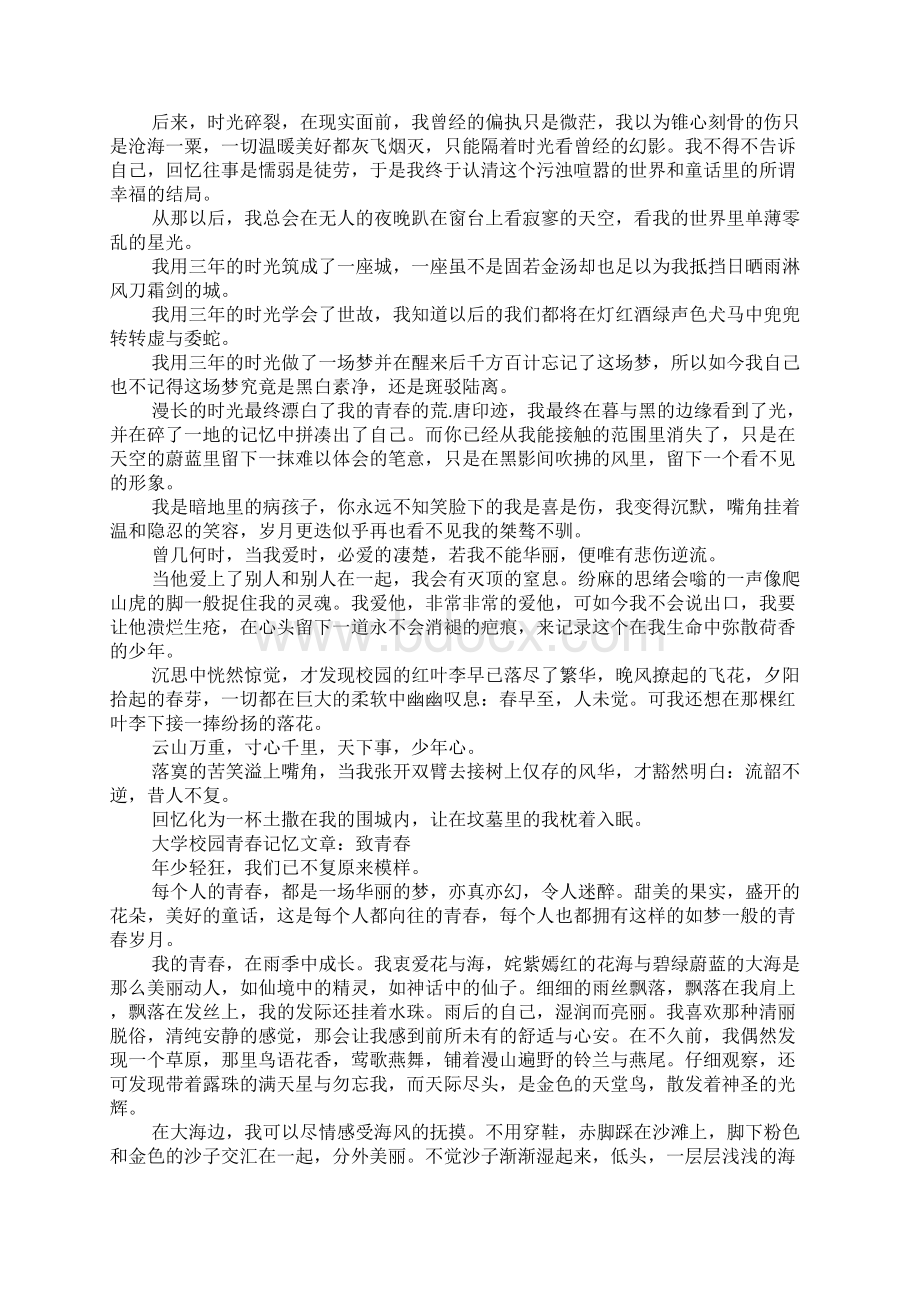 关于大学校园青春记忆文章5篇.docx_第3页