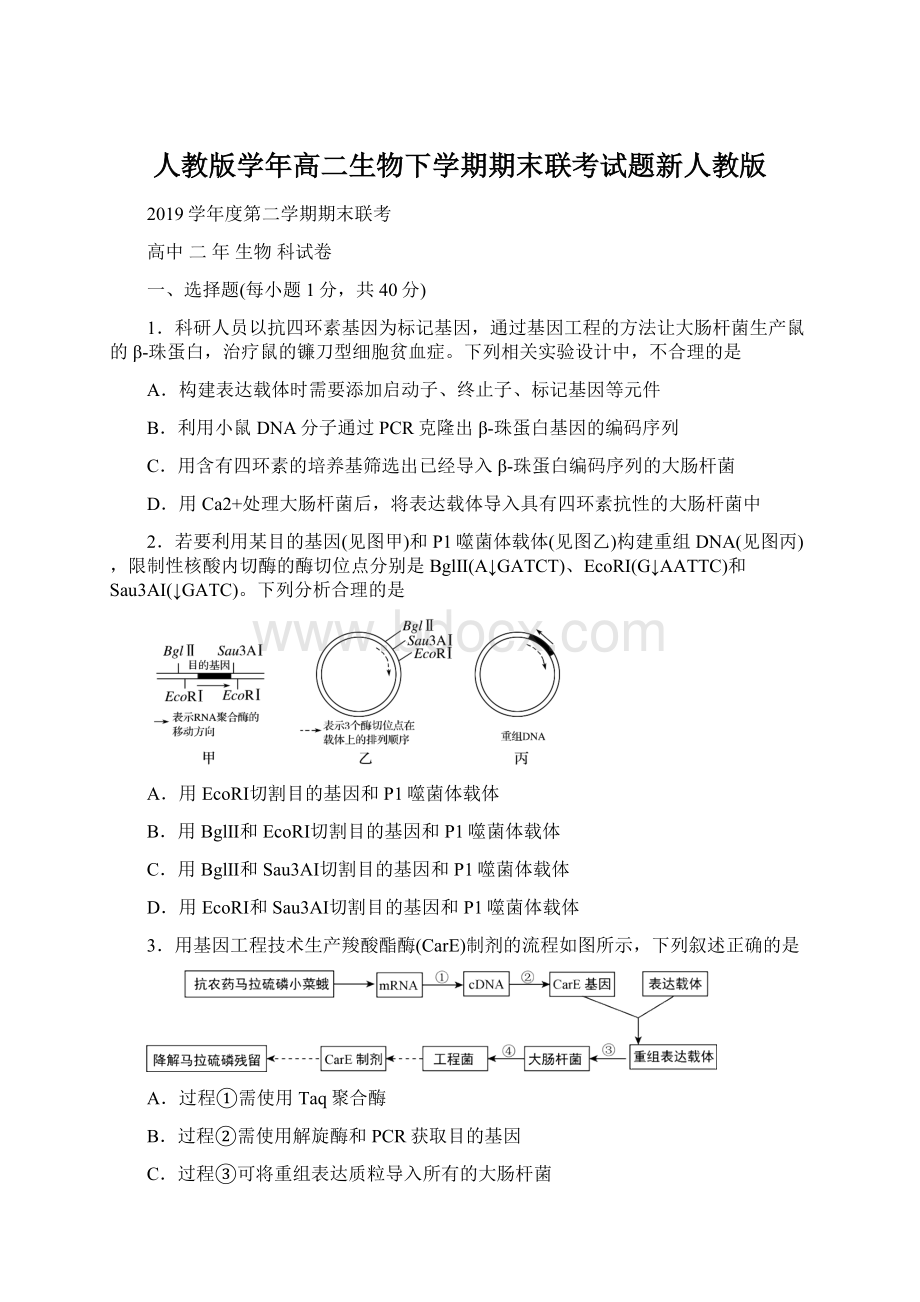 人教版学年高二生物下学期期末联考试题新人教版Word格式文档下载.docx