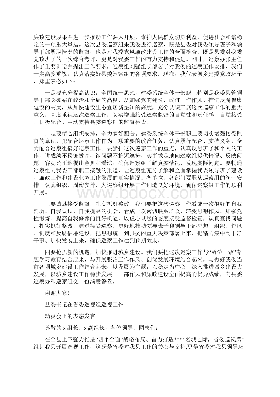 5篇巡视动员会表态发言.docx_第3页