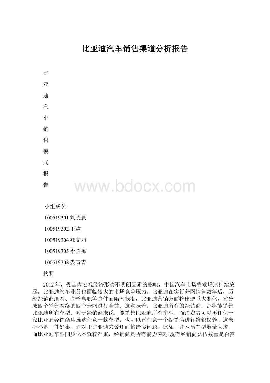 比亚迪汽车销售渠道分析报告.docx