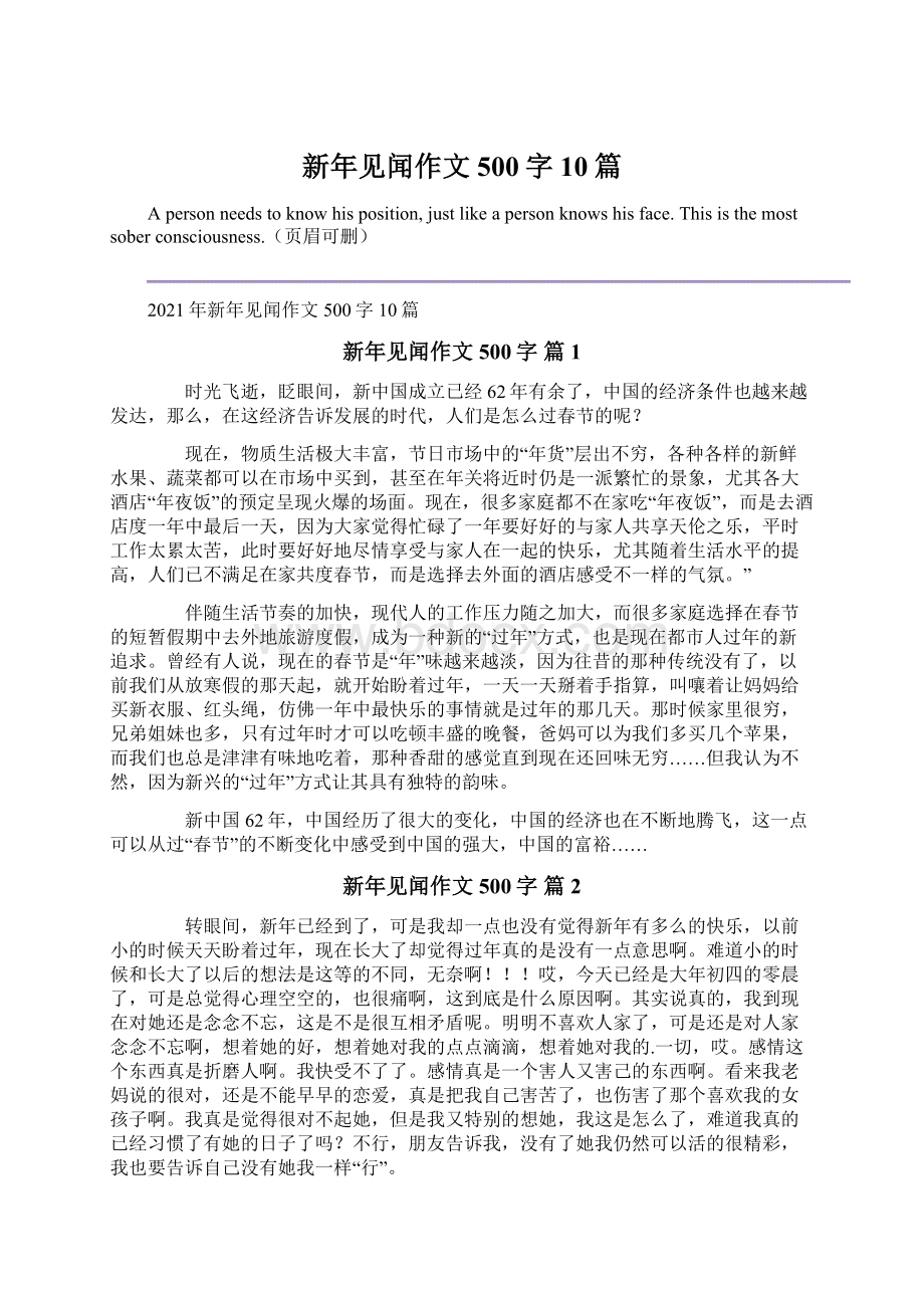 新年见闻作文500字10篇.docx