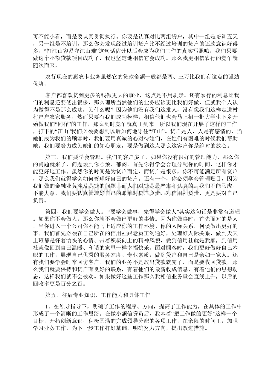 信贷员个人的工作总结.docx_第3页