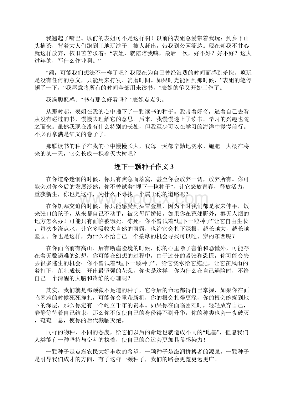 埋下一颗种子作文.docx_第2页